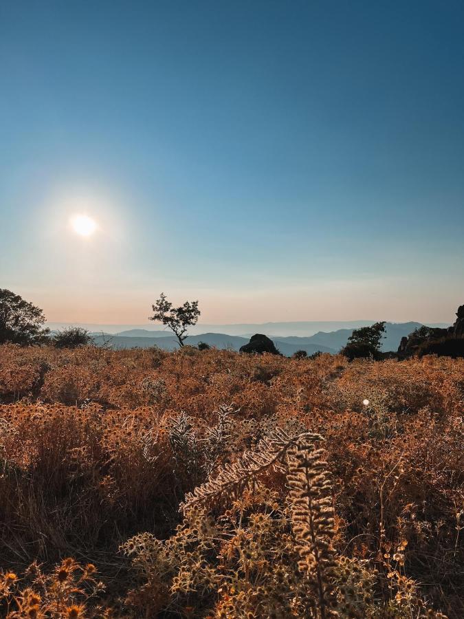 丰尼Casa Masini住宿加早餐旅馆 外观 照片